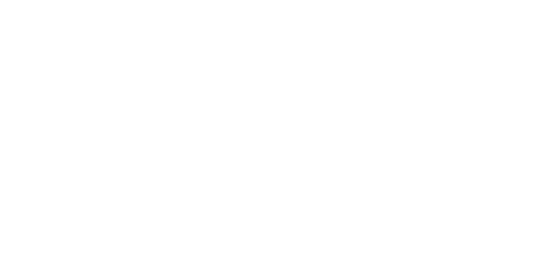 Sarah Francois Team